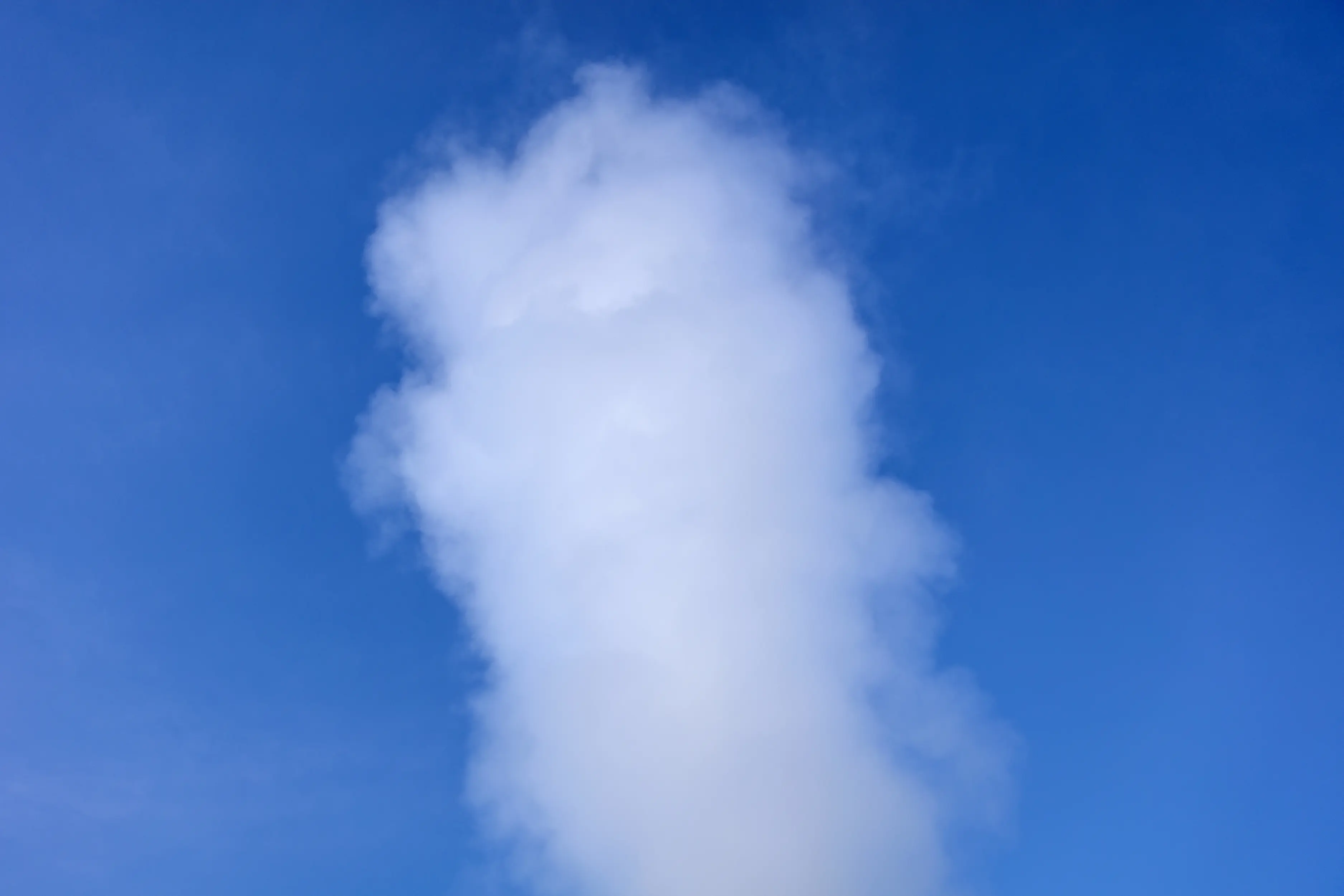 Carpet-Steam-Cleaning--in-NASA-Florida-Carpet-Steam-Cleaning-5905-image