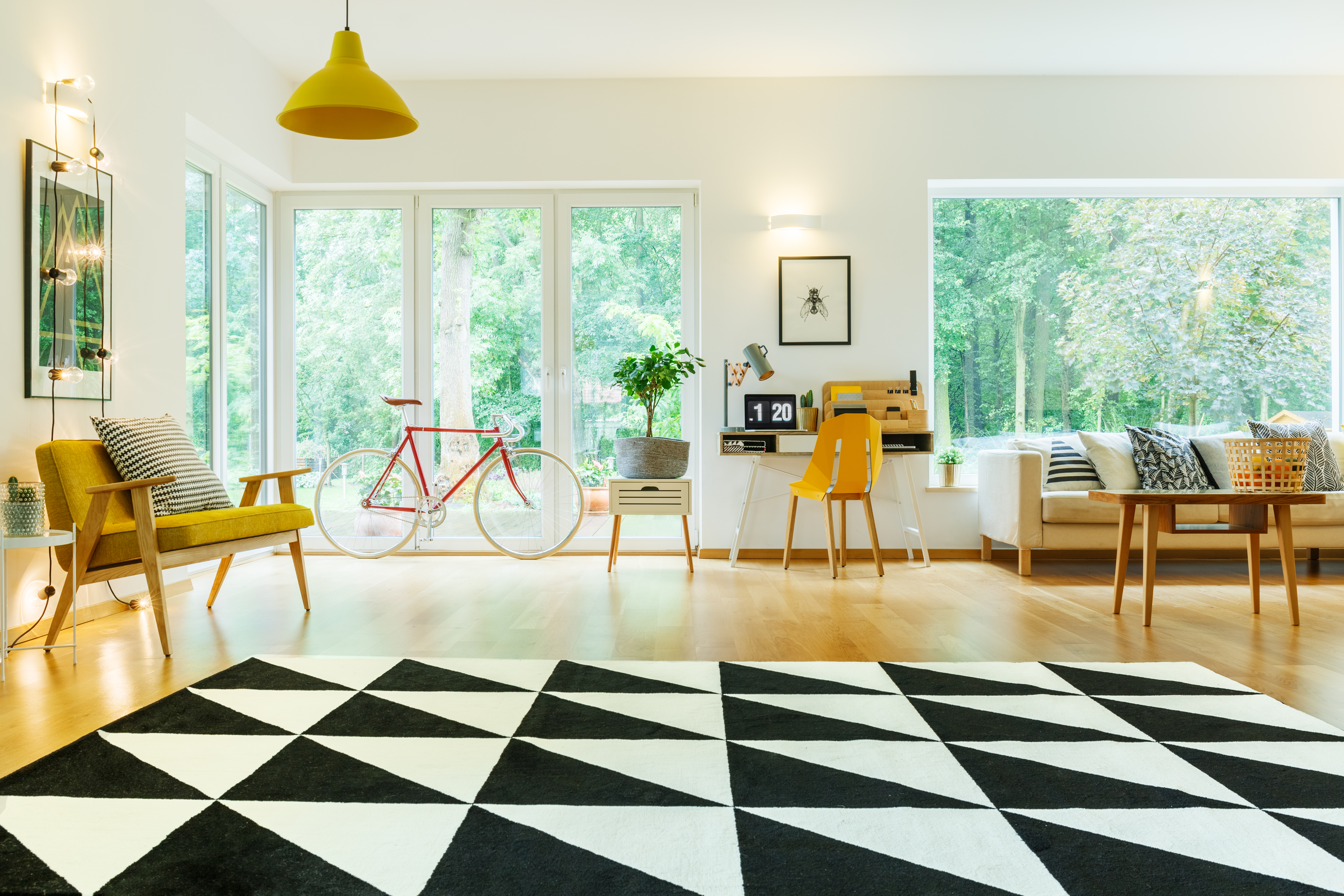 Area-Rug-Cleaning--in-Ocoee-Florida-area-rug-cleaning-ocoee-florida.jpg-image